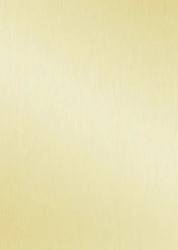 ALU BROSSE OR N°002 3050 X 1300 8/10 FILM- NE PAS ROULER